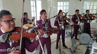 HUAPANGO DE MONCAYO MARIACHI MEXICANISIMO [upl. by Christiansen]