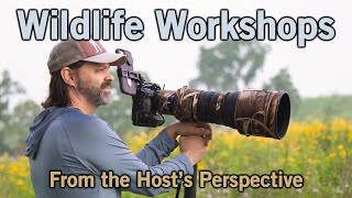 Wildlife photography workshop 2 [upl. by Imhsar]