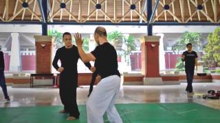 Pencak Silat Freestyle Fighting [upl. by Ailegra]