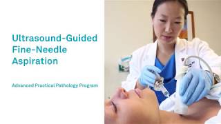 UltrasoundGuided FineNeedle Aspiration Advanced Practical Pathology Program [upl. by Angil]