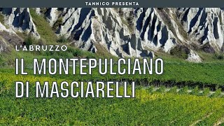 Gianni Masciarelli e il Super Montepulciano  Tannico [upl. by Aushoj]