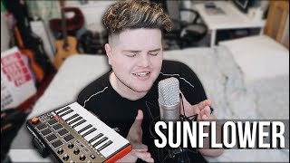 Sunflower  Post Malone amp Swae Lee Cover [upl. by Larrej]