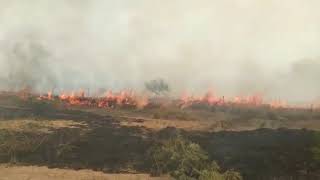 Los incendios en Corrientes imágenes de los bomberos entrerrianos [upl. by Euqinahc229]