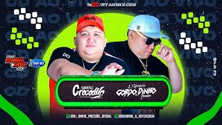 CD AO VIVO SURREAL CROCODILO NA SEDE DO SANTANA IGARAPÉ MIRI 26072023 DJS GORDO amp DINHO PRESSÃO [upl. by Morville]