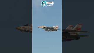 F14 Tomcat Flyby shorts msfs2020 [upl. by Noyrb]