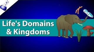 Domains and Kingdoms of life [upl. by Standford133]