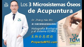 Curso online Los 3 Microsistemas óseos de Acupuntura Formación internacional de MTC y ECIWO [upl. by Yael]