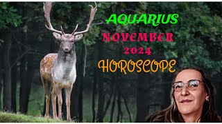 AQUARIUS NOVEMBER 2024 HOROSCOPE RISE ABOVE ITtarot aquarius horescope [upl. by Shaer930]