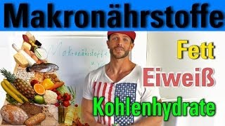 Makronährstoffe Eiweiß Kohlenhydrate Fett [upl. by Audry]