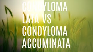 condyloma lata vs condyloma accuminata Learnmedicinewithme [upl. by Ayak674]