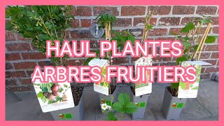 HAUL PLANTES  ARBRES FRUITIERS 🌿🍓 [upl. by Ahidam]