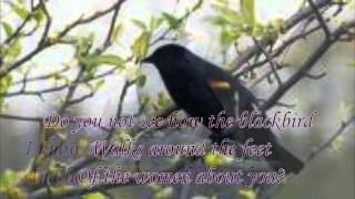 quotThirteen Ways of Looking at a Blackbirdquot by Wallace Stevens read by Tom OBedlam [upl. by Ahsikar472]