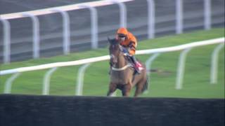 2016 32Red King George VI Chase  Thistlecrack  Racing TV [upl. by Llenroc]