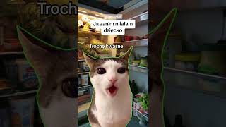 Perspektywa się zmieniła 😂 mama dziecko haha catmeme catmemes capcut memecut memy [upl. by Liuka]