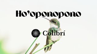 Hooponopono para abundancia Colibrí [upl. by Fidelas303]