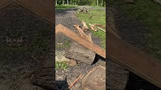 EASY Chainsaw Milling First Cut Method granberg chainsawmill sawmill blackwalnut slab [upl. by Ahcrop605]