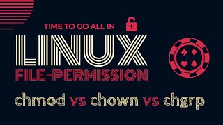 Linux File Permissions  How Linux File Permissions Work Chmod vs Chown  Chown vs Chgrp [upl. by Chao740]