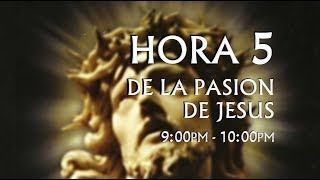 05 de 24 I Horas de la Pasión de Jesús Luisa Piccarreta Divina Voluntad [upl. by Dhiman755]