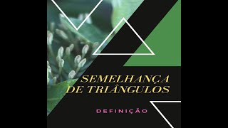 SEMELHANÇA DE TRIÂNGULOS DEFINIÇÃO [upl. by Germaine]