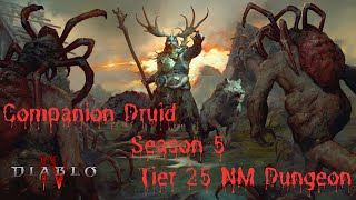 Diablo 4  Season 5  Companion Druid  Tier 25 NM Dungeon diablogameplay d4 diablo4 [upl. by Nerhtak]