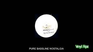 BIG ANG  THIS IS THE RMX  NICHE  BASSLINE HOUSE  SPEED GARAGE  VINYL RIP [upl. by Enytsirk328]