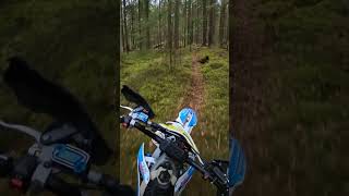 Cool Trail enduro insta360 shorts [upl. by Jo-Ann]