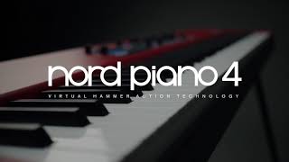 Clavier toucher lourd NORD PIANO 4 vidéo de La Boite Noire [upl. by Kaslik924]