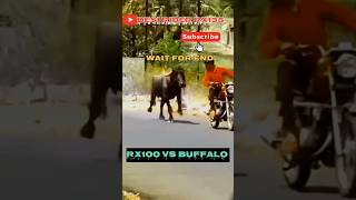 YAMAHA RX100 SOUND BUFFALO REACTION 😱  WAIT FOR END [upl. by Annahsed237]