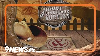 Full 2024 National Western Junior Livestock Auction [upl. by Elbert]