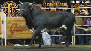 ¡REGRESÓ EL JARIPEO 4X4 RANCHO EL AGUAJE Y MARTINEZ RANCH EN EL CARNAVAL AUTLAN 2022 [upl. by Waxman]