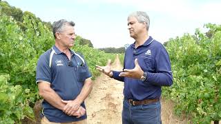 Season Update in Viticulture in the Margaret River region with Jim CampbellClause AHA Viticulture [upl. by Ahgiela]