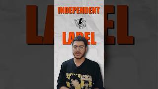 Indie Artist vs Record Label Who Wins in 2024  King Vs Emiway Bantai  Label vs Independent [upl. by Euqirdor246]