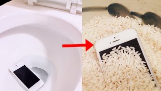 How to Fix Phone Dropped in Water Fixed [upl. by Esyahc]