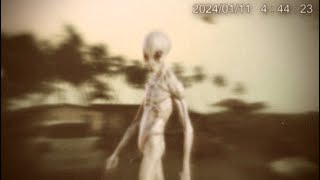 Most Disturbing Things Ever Caught on Camera 2024 [upl. by Neyrb]