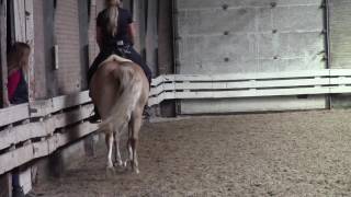 Dressage training Haflinger Horse Calysa FEI  KNHS  shoulderin amp halfpass [upl. by Durrett]