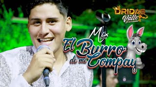 DRIDAS DEL VALLE  MIX EL BURRO DE MI COMPAY  VIDEO OFICIAL 2024 [upl. by Atenik247]