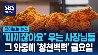 소비자들만 좋은 가성비 치킨…청천벽력 금요일이 온다  SBS  모아보는 뉴스 [upl. by Yunick]