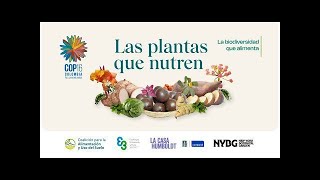 «La Biodiversidad que alimenta» Las Plantas que Nutren [upl. by Arykat]