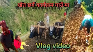 खेत छर्ने कार्यक्रम गाउँ मा My fast vlog khimraj Bista office 20241119 [upl. by Ronoc]