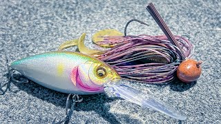 Top 5 Baits For January Bass Fishing [upl. by Neraa]