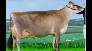 Rivermead Minx Candy  1st Senior Jersey amp Supreme Champion 2023 UK Dairy Expo [upl. by Alisan149]