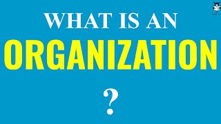 What is an Organization  Structure and Characteristics of Organization [upl. by Goulette526]