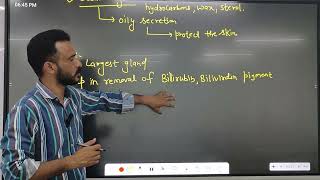 excretory products and their elimination part 4 biology class 11th ncert solutions [upl. by Repsaj]