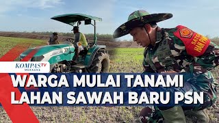 Warga Mulai Tanami Lahan Sawah Baru PSN [upl. by Libbna]