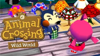 Animal Crossing Wild World  Creating A Custom Path Design [upl. by Aile]