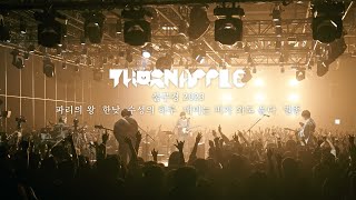 쏜애플THORNAPPLE  파리의 왕  한낮  수성의 하루  매미는 비가 와도 운다  멸종 불구경 2023 Live ver [upl. by Eentruoc612]