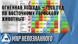 Огненная Лошадь — 1966 год по Восточному гороскопу животных [upl. by Jodie]