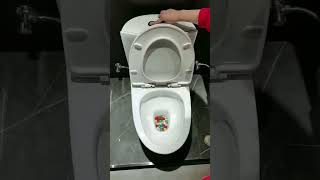 washdown toilet flushing test with 100 pp balls toilet [upl. by Yral]