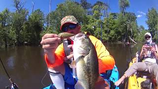 quotHOLY TOLEDOquot Bass amp Crappie fishing Toledo Bend Texas Kayak Camping [upl. by Aimej281]