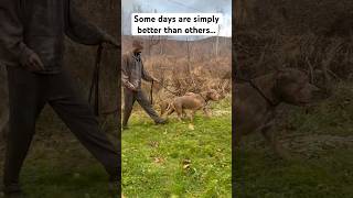 Some days are better simply then others 😂😵😒 shorts viral funny [upl. by Anileve]